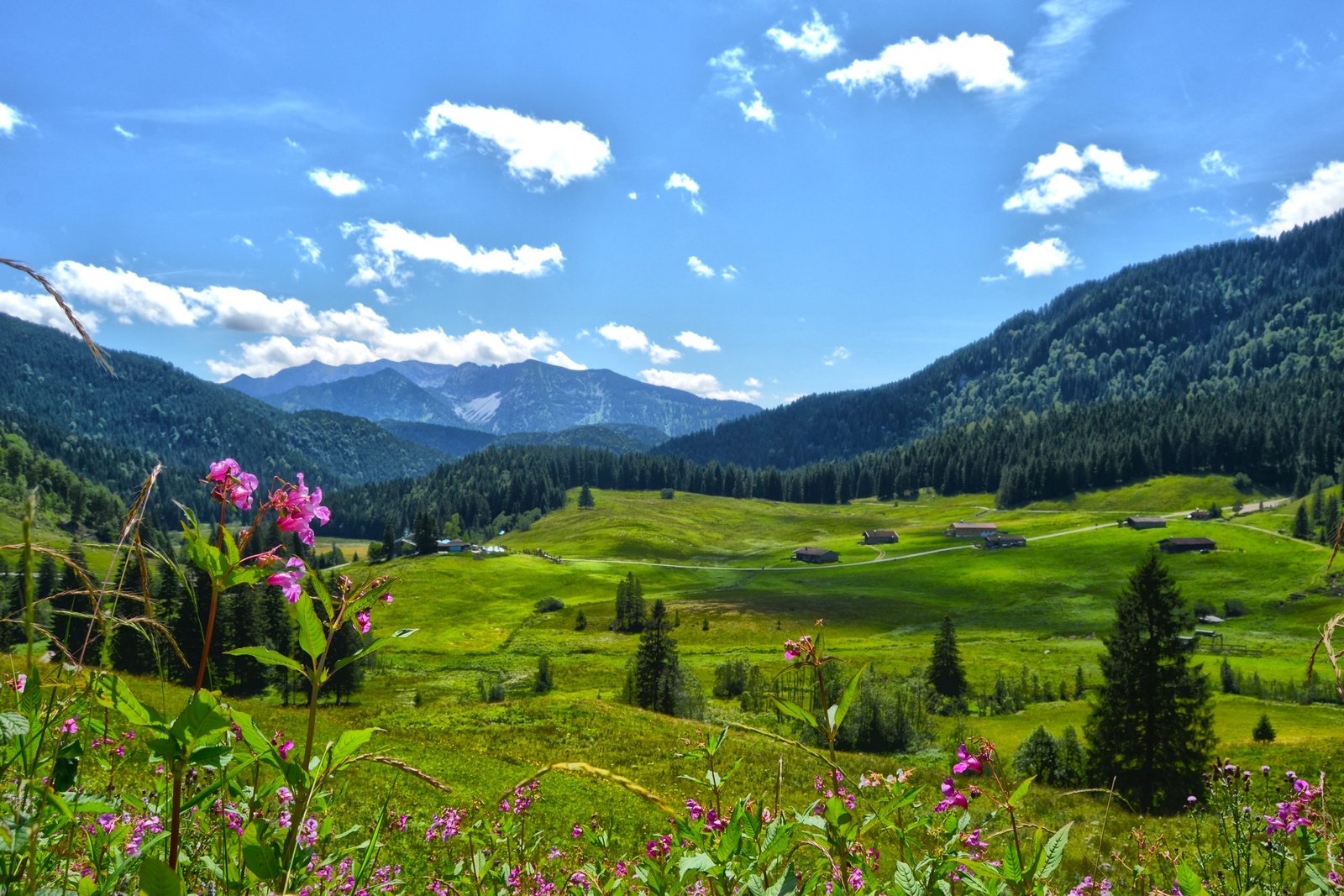 Bergwiesen mit Hütten und Alpenpanorama bei Fischbachau – Natururlaub nahe dem Gästehaus Sonnenbichl
